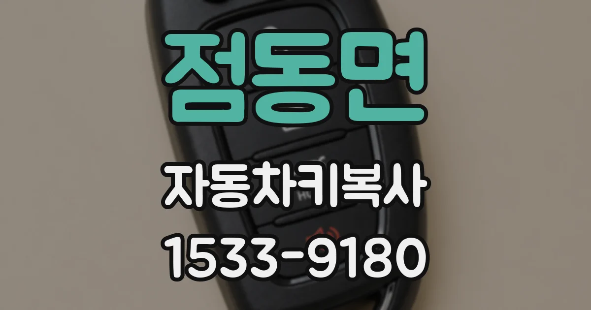 점동면 자동차키복사