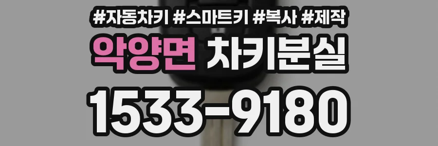 악양면 차키분실