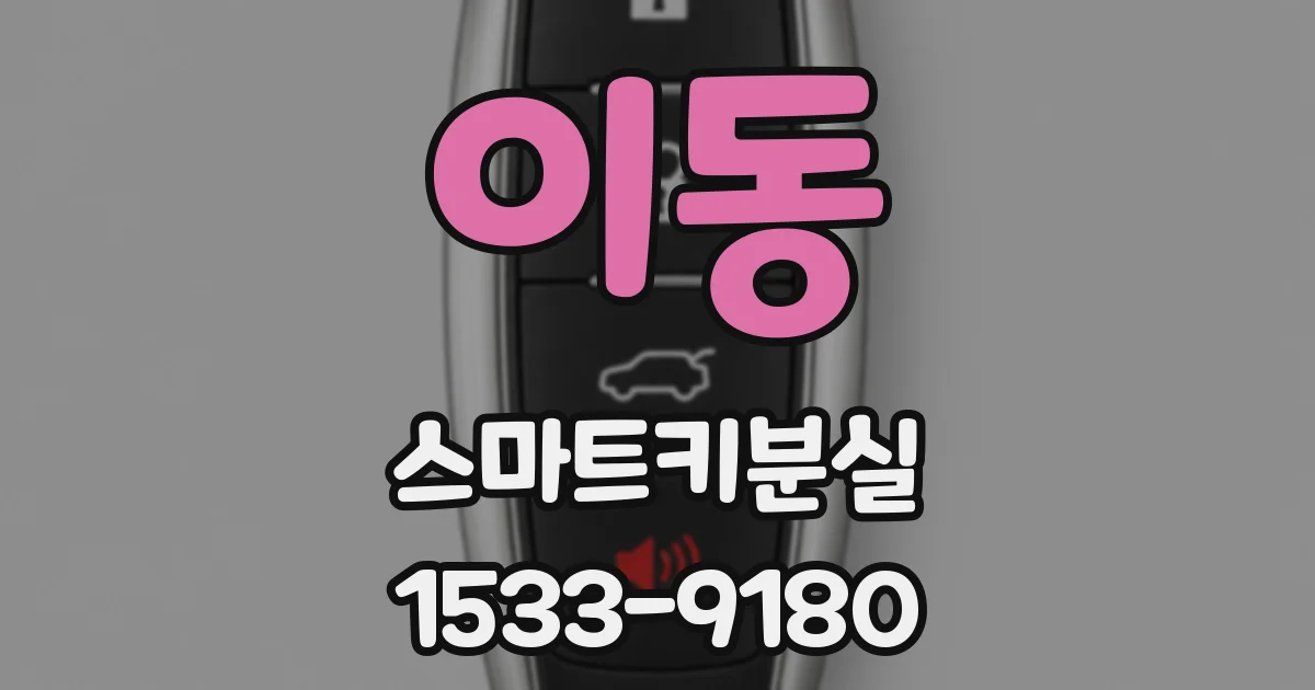 이동 스마트키분실
