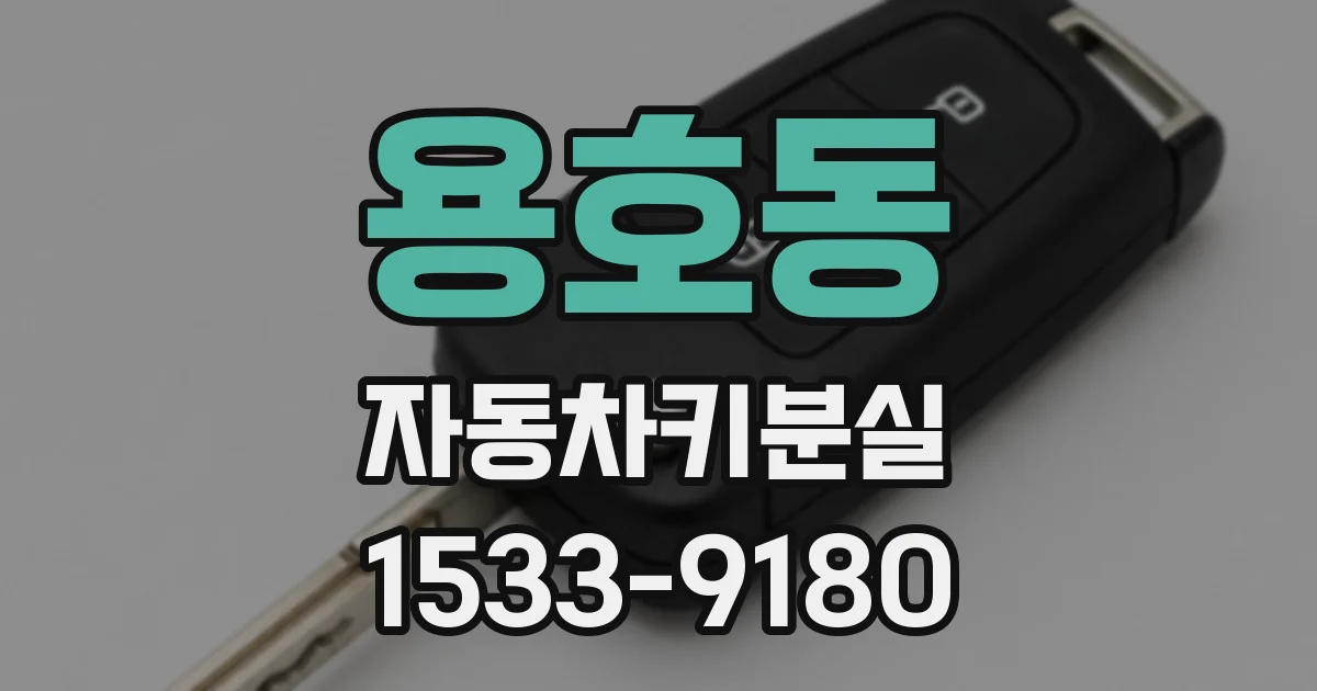 용호동 자동차키분실