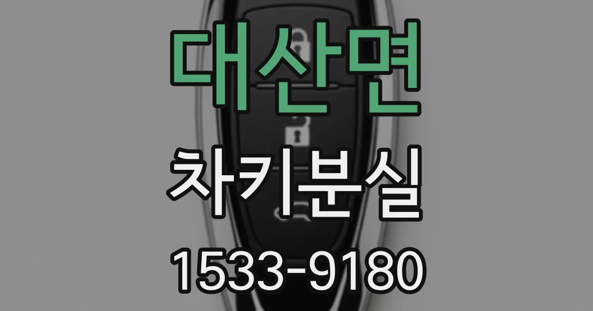 대산면 차키분실