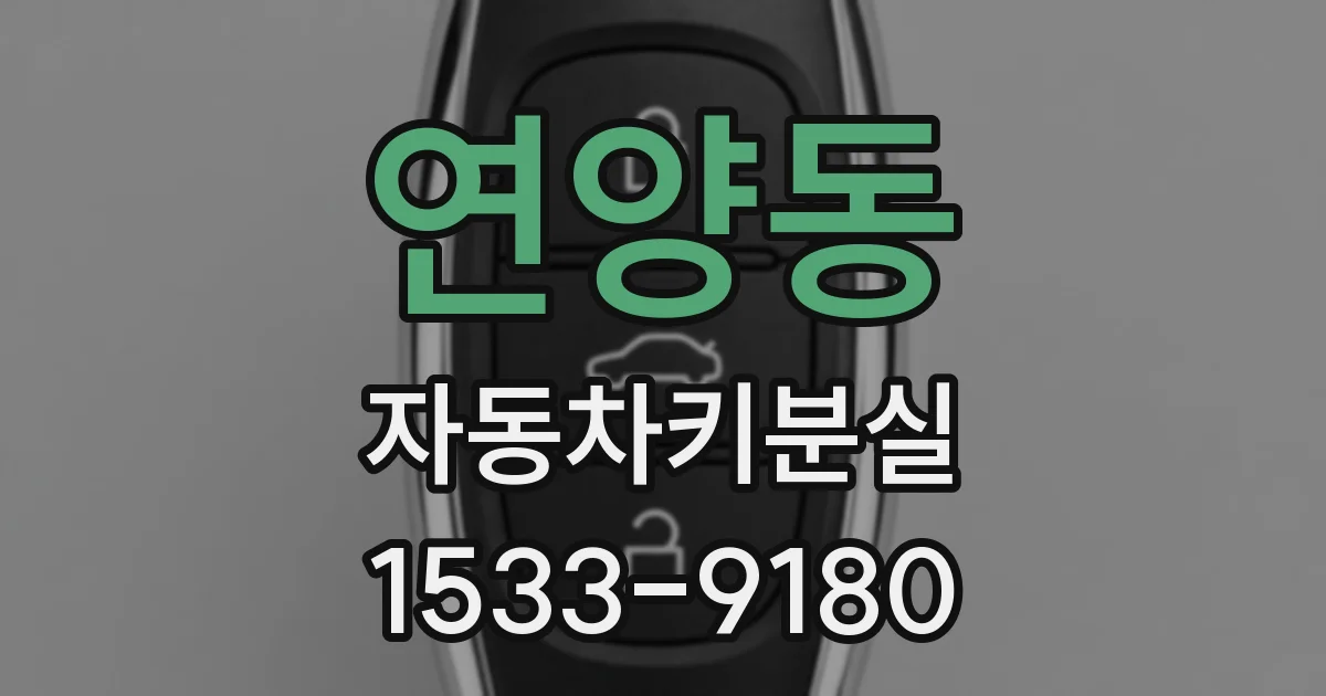 연양동 자동차키분실