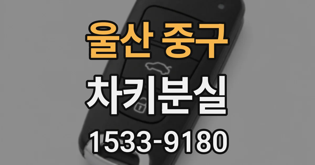 울산 중구 차키분실