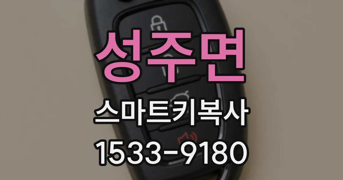 성주면 스마트키복사