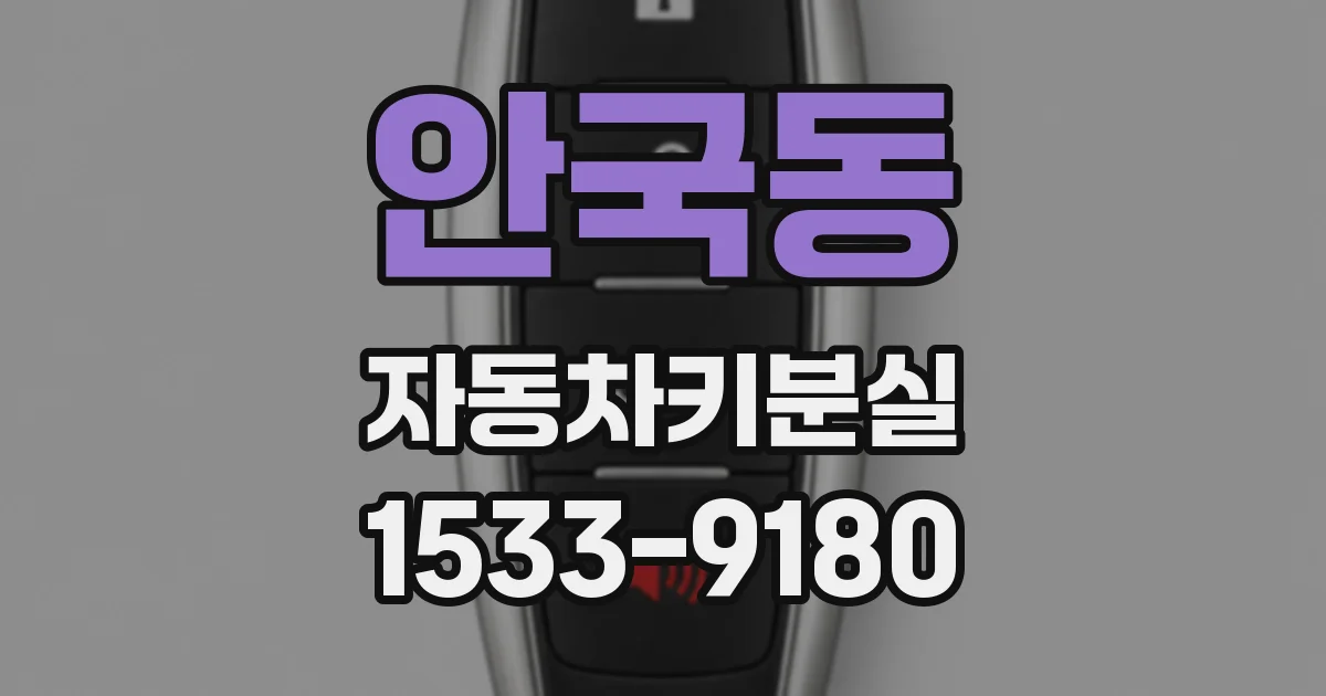 안국동 자동차키분실