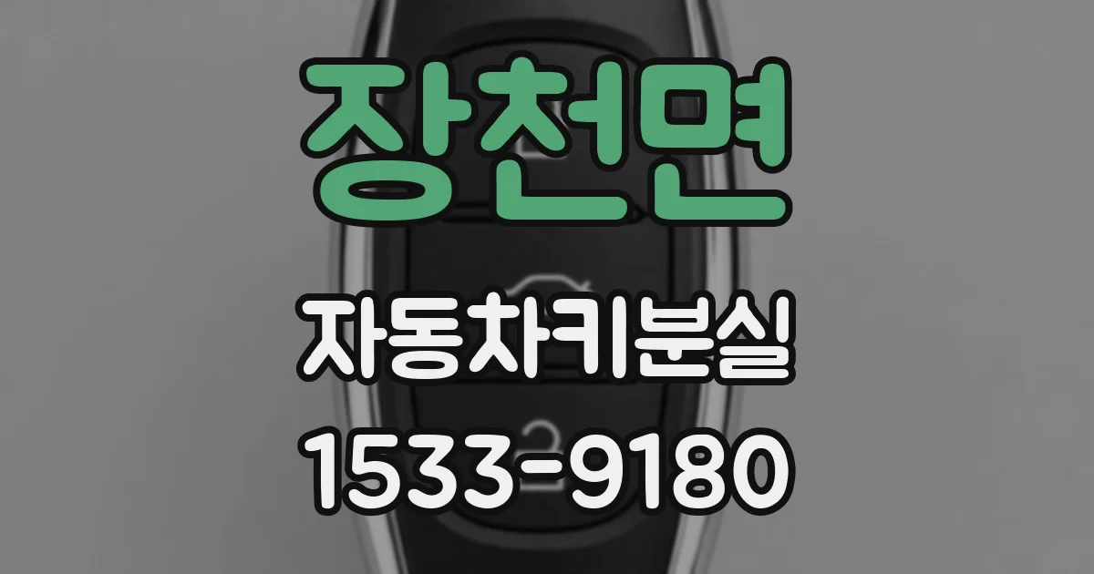 장천면 자동차키분실