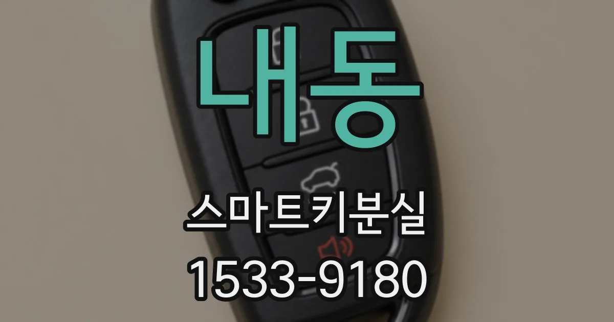 내동 스마트키분실