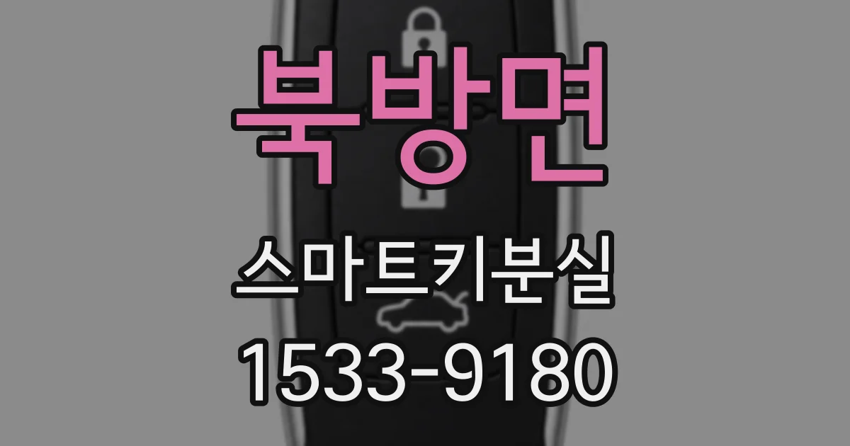 북방면 스마트키분실