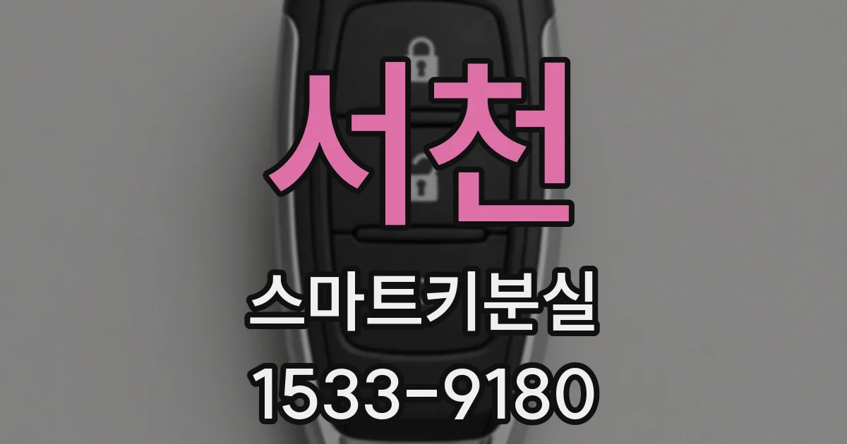 서천 스마트키분실