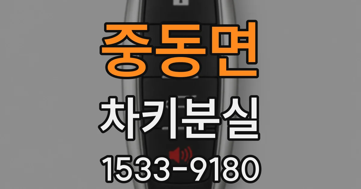 중동면 차키분실