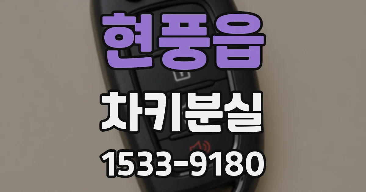현풍읍 차키분실