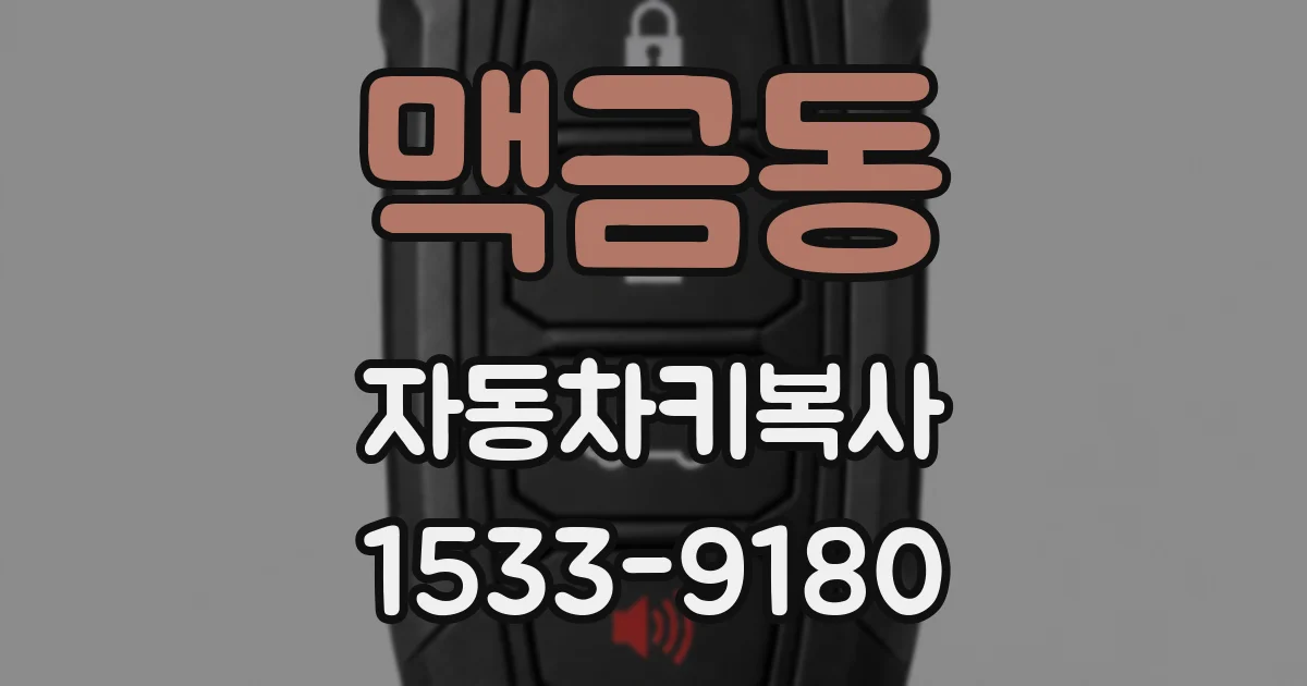맥금동 자동차키복사