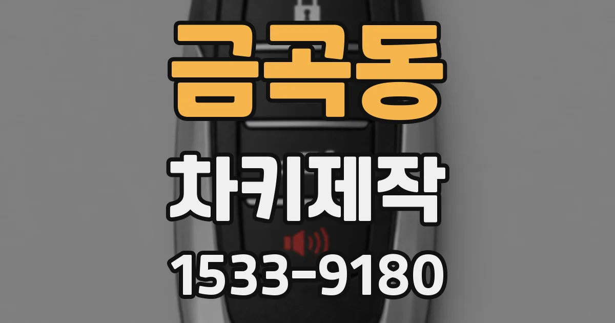 금곡동 차키제작