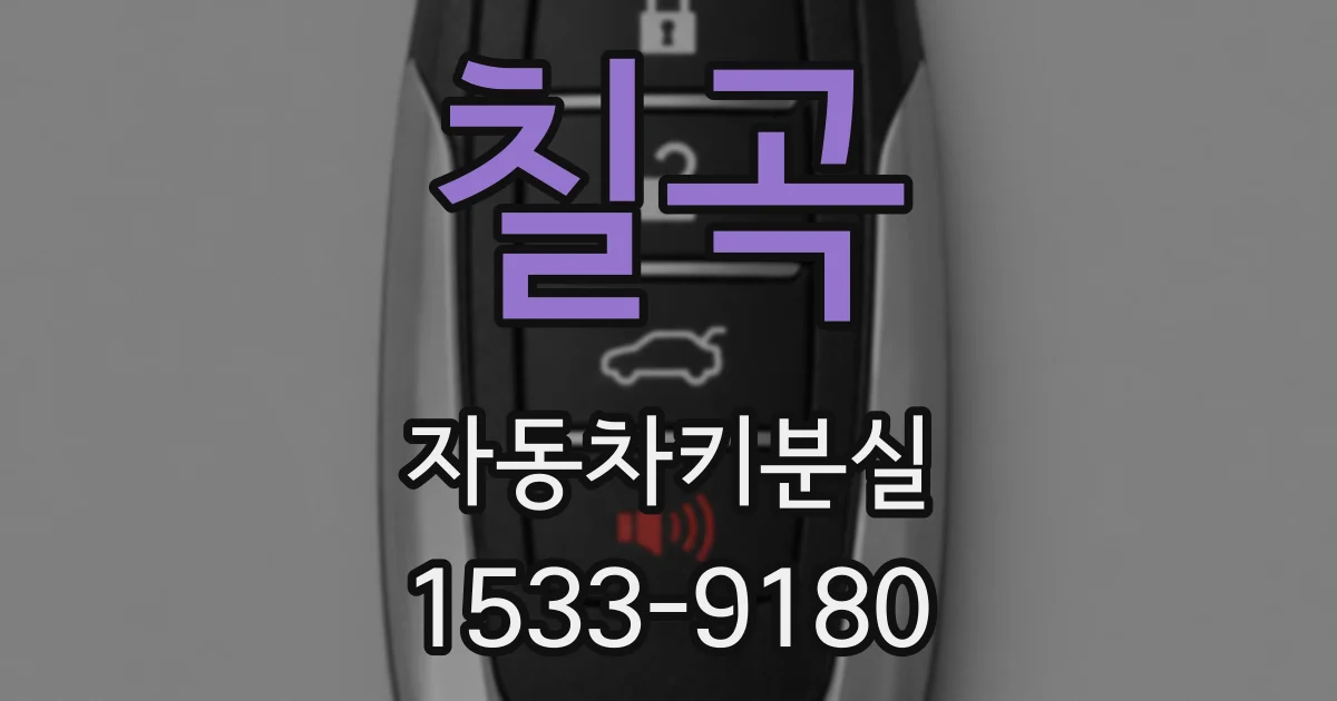 칠곡 자동차키분실