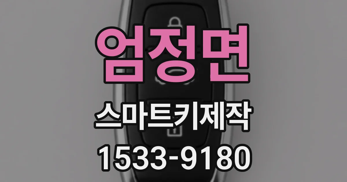 엄정면 스마트키제작
