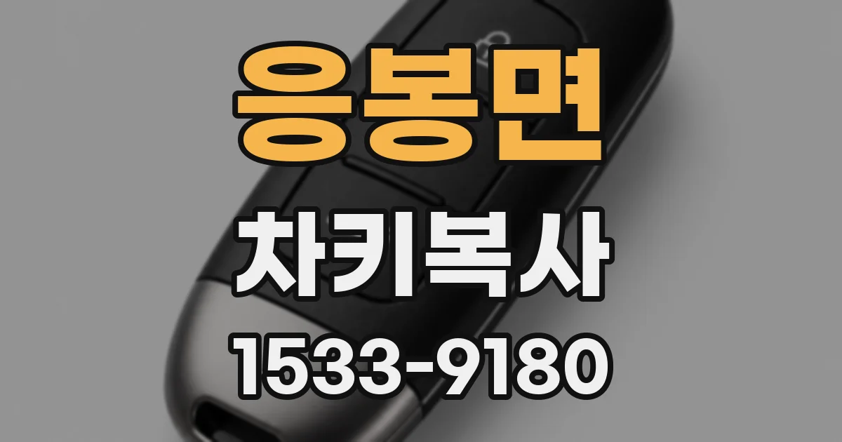 응봉면 차키복사