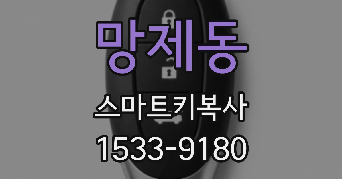 망제동 스마트키복사