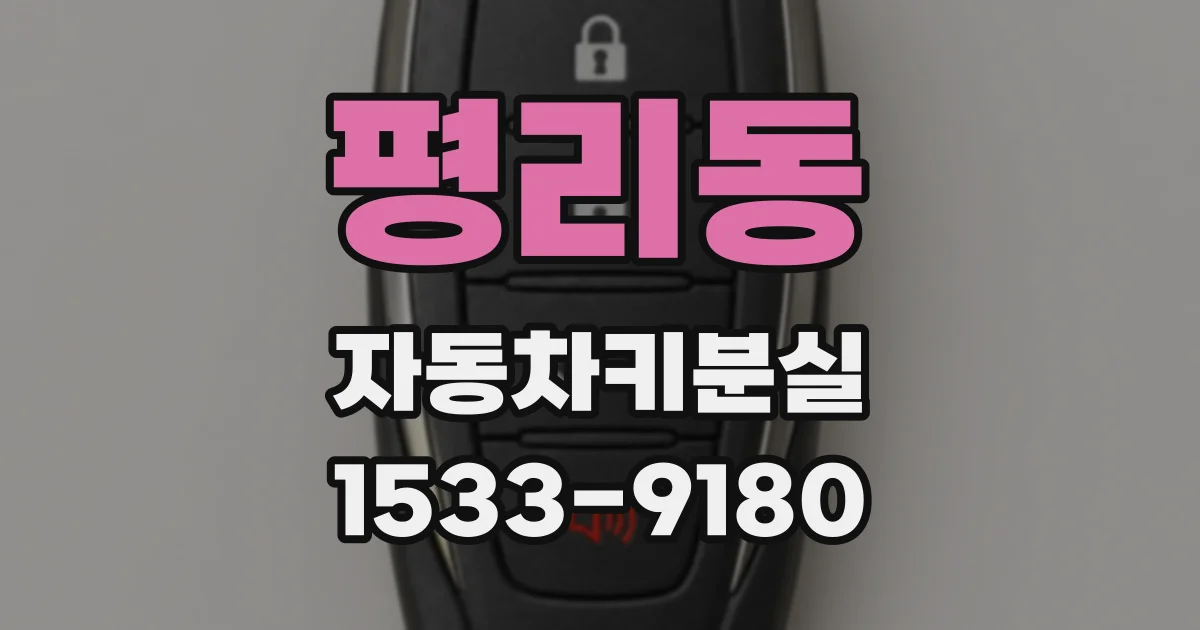 평리동 자동차키분실