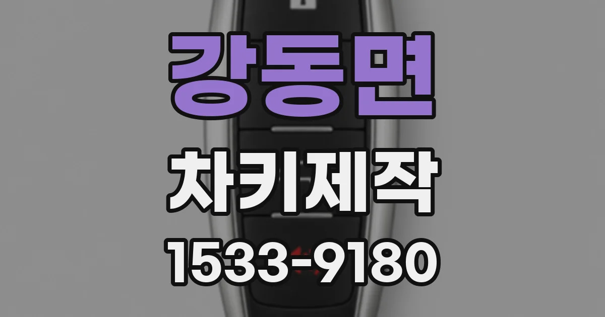 강동면 차키제작