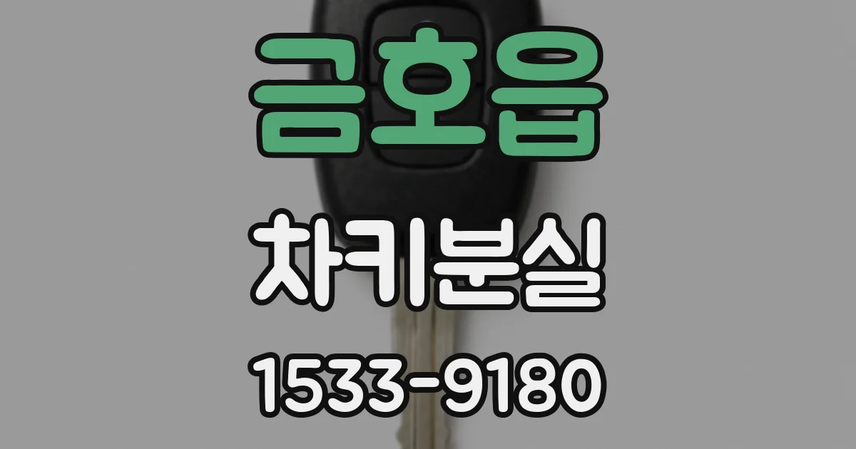 금호읍 차키분실