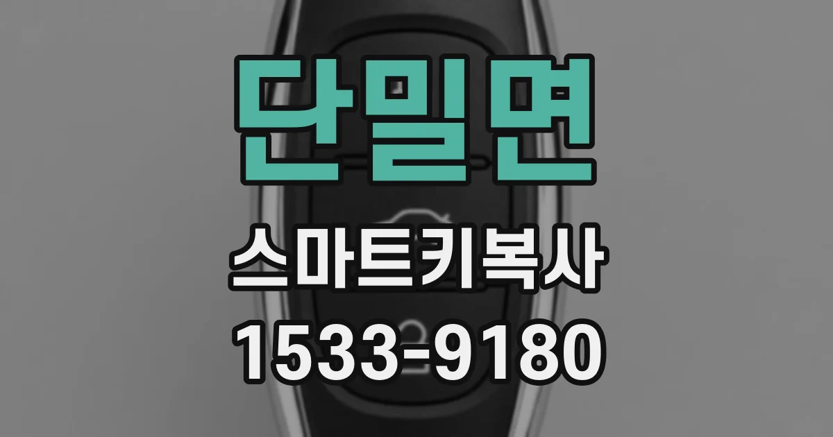 단밀면 스마트키복사
