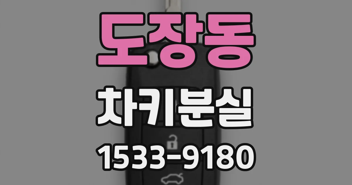 도장동 차키분실