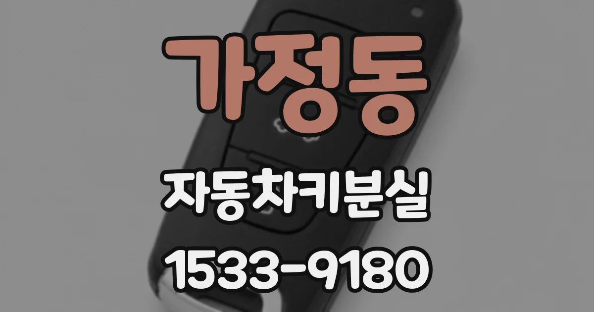 가정동 자동차키분실