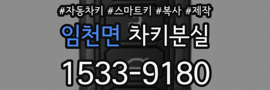 임천면 차키분실