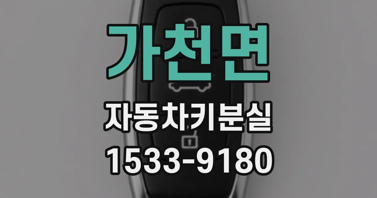 가천면 자동차키분실