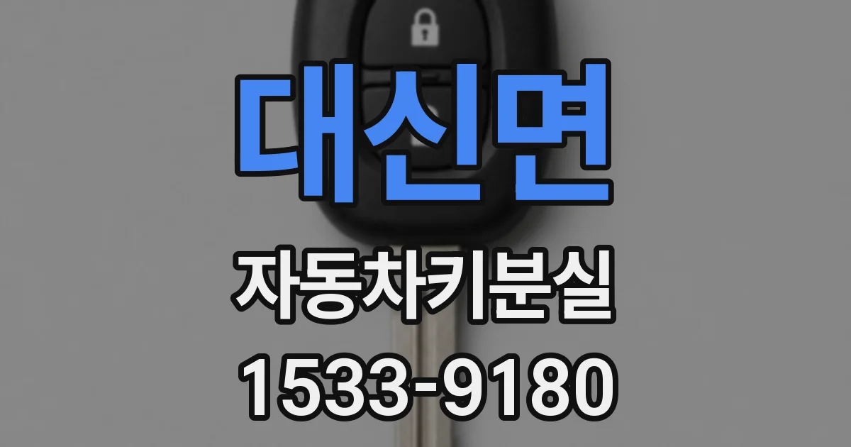 대신면 자동차키분실