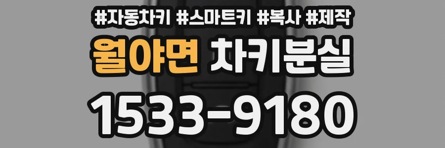 월야면 차키분실