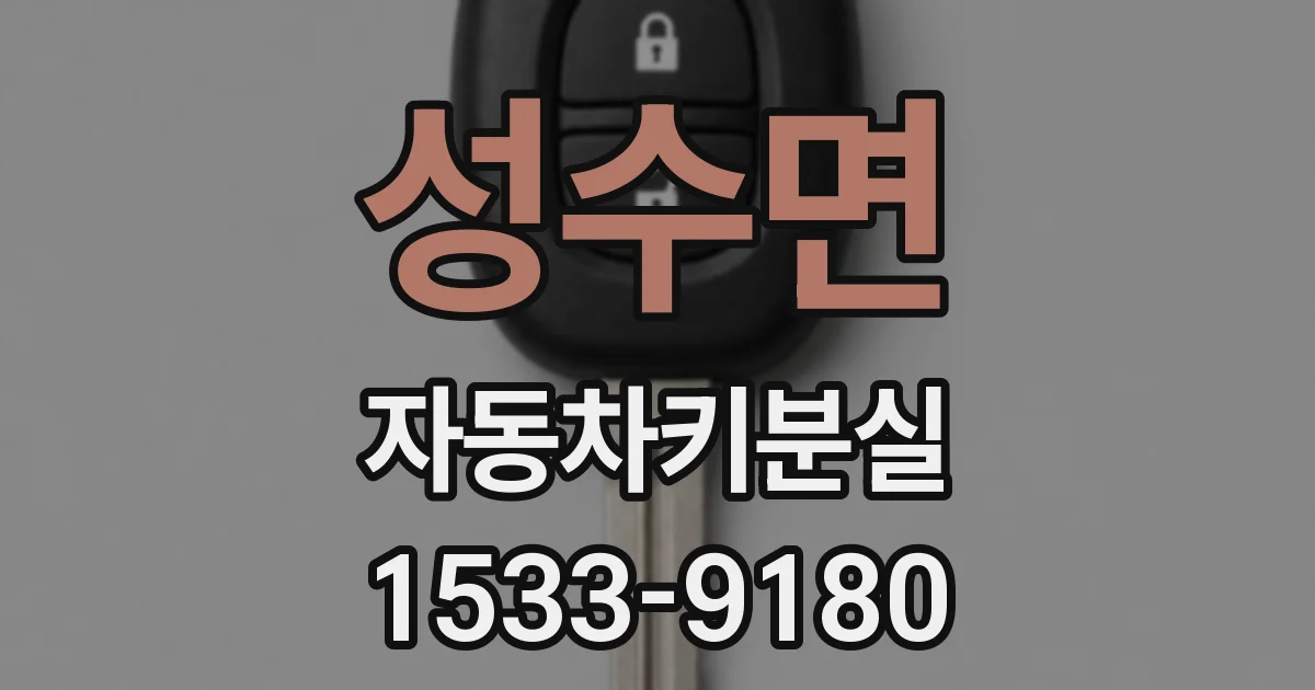 성수면 자동차키분실