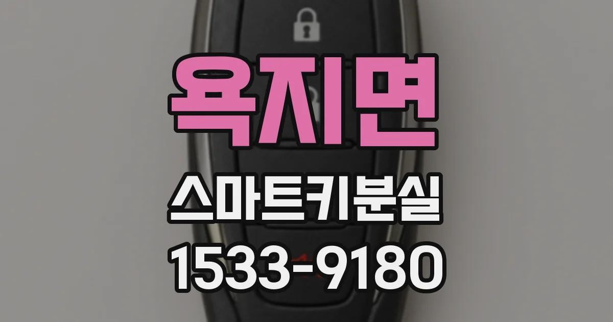 욕지면 스마트키분실