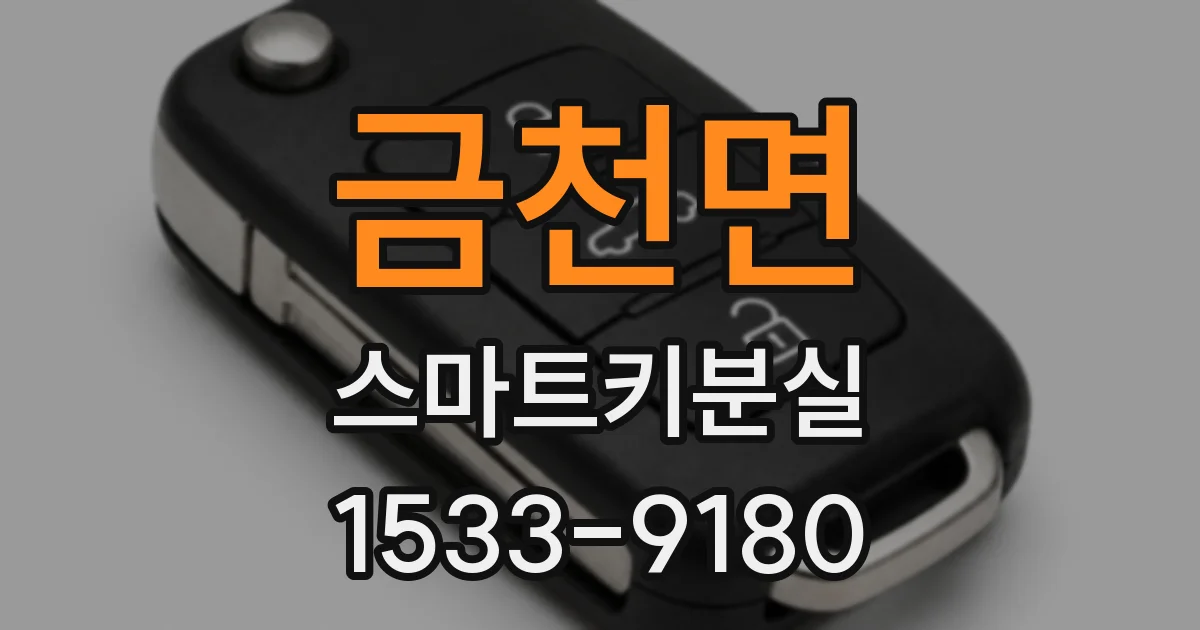 금천면 스마트키분실