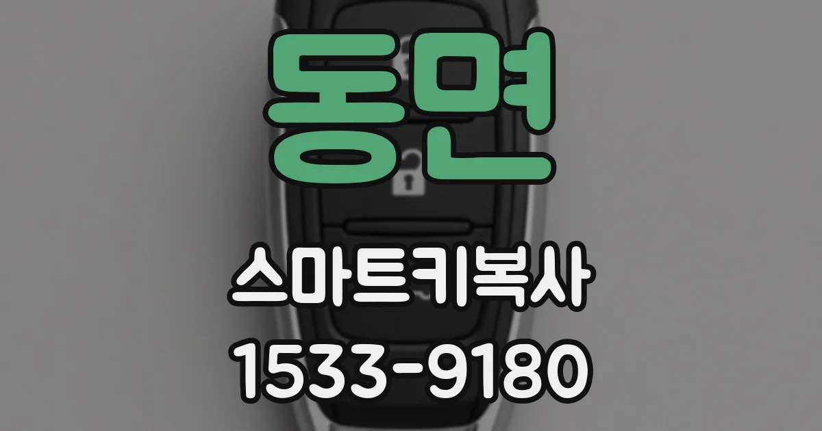 동면 스마트키복사