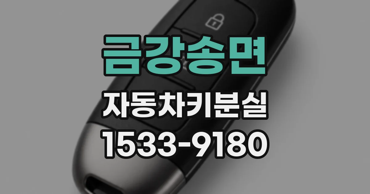 금강송면 자동차키분실