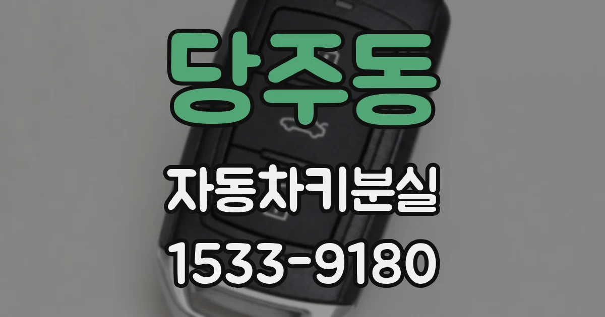 당주동 자동차키분실