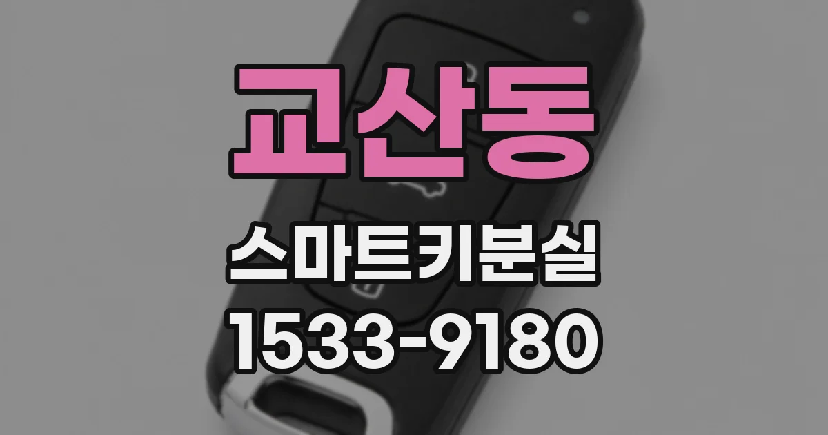 교산동 스마트키분실