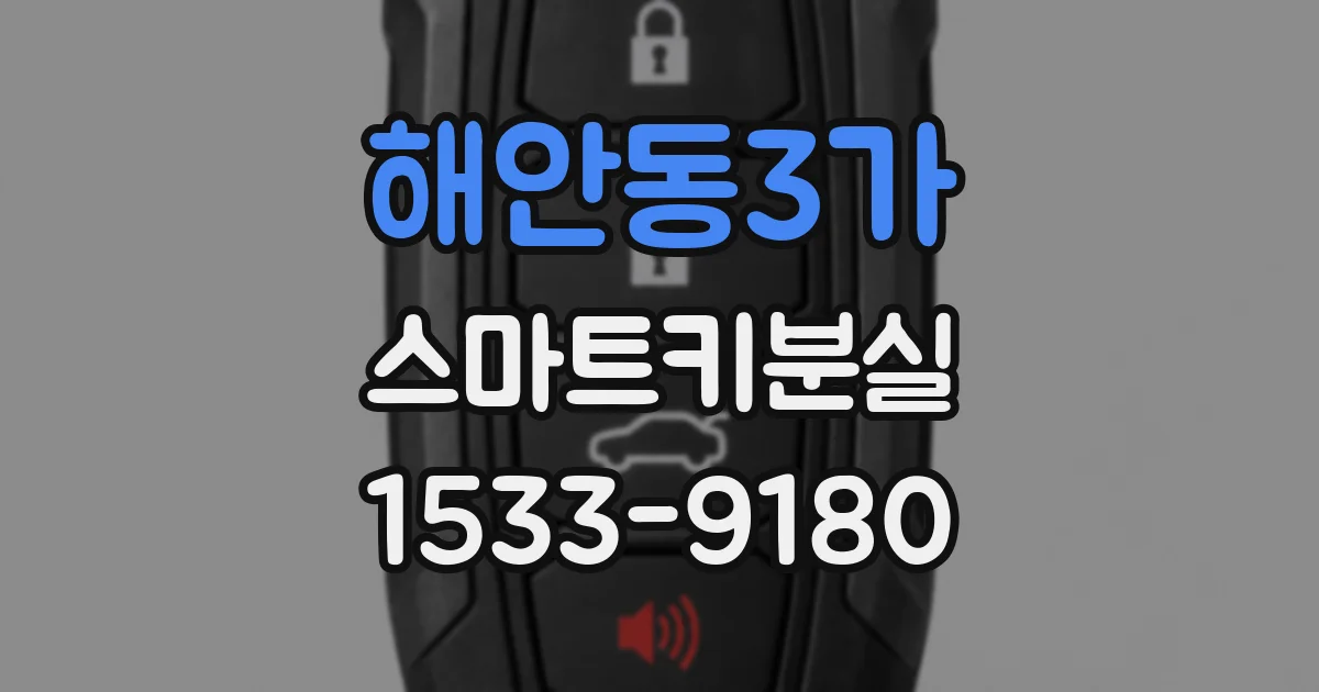 해안동3가 스마트키분실