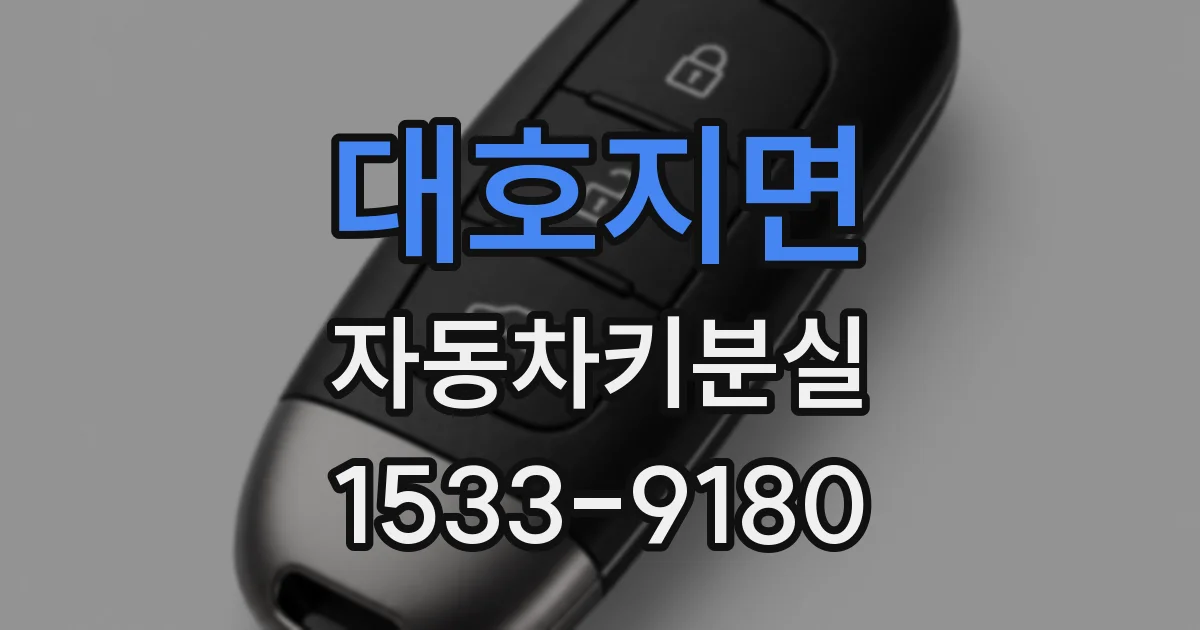 대호지면 자동차키분실