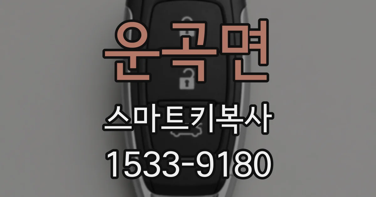 운곡면 스마트키복사
