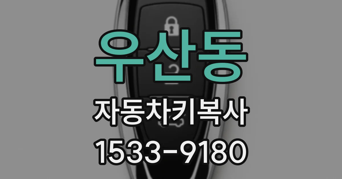 우산동 자동차키복사