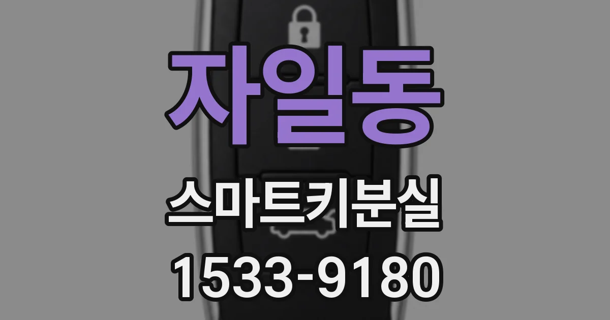 자일동 스마트키분실