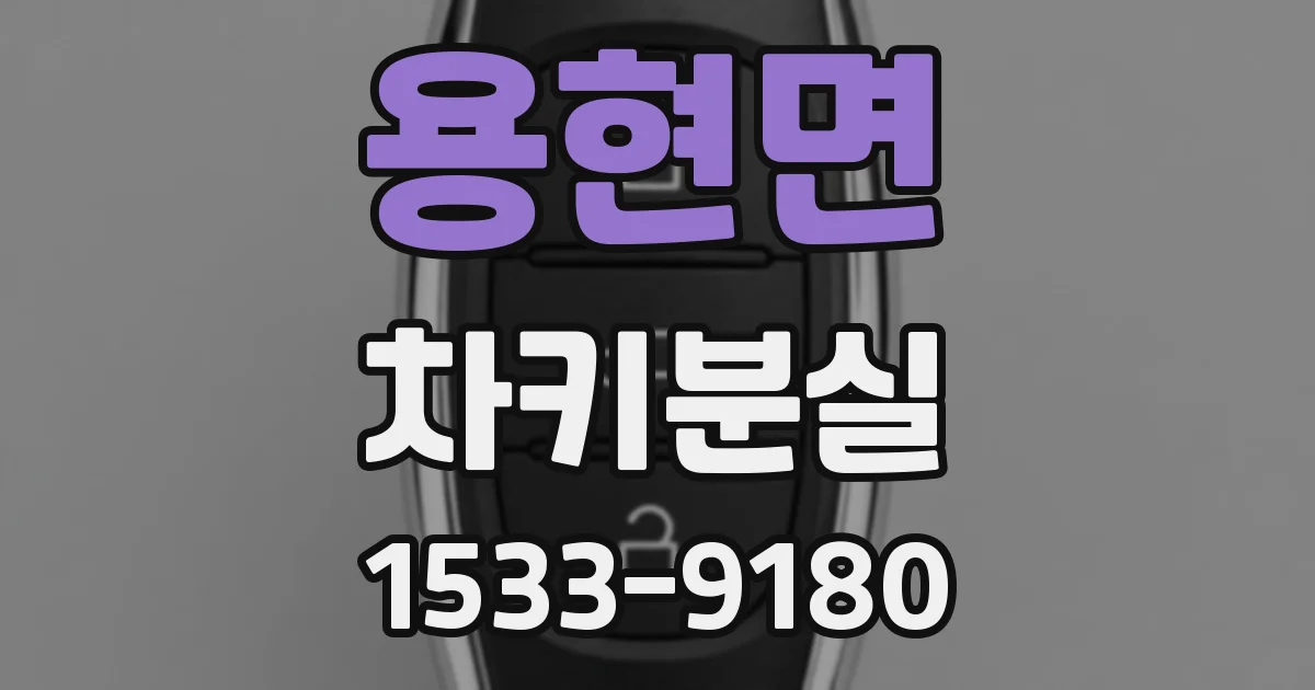 용현면 차키분실
