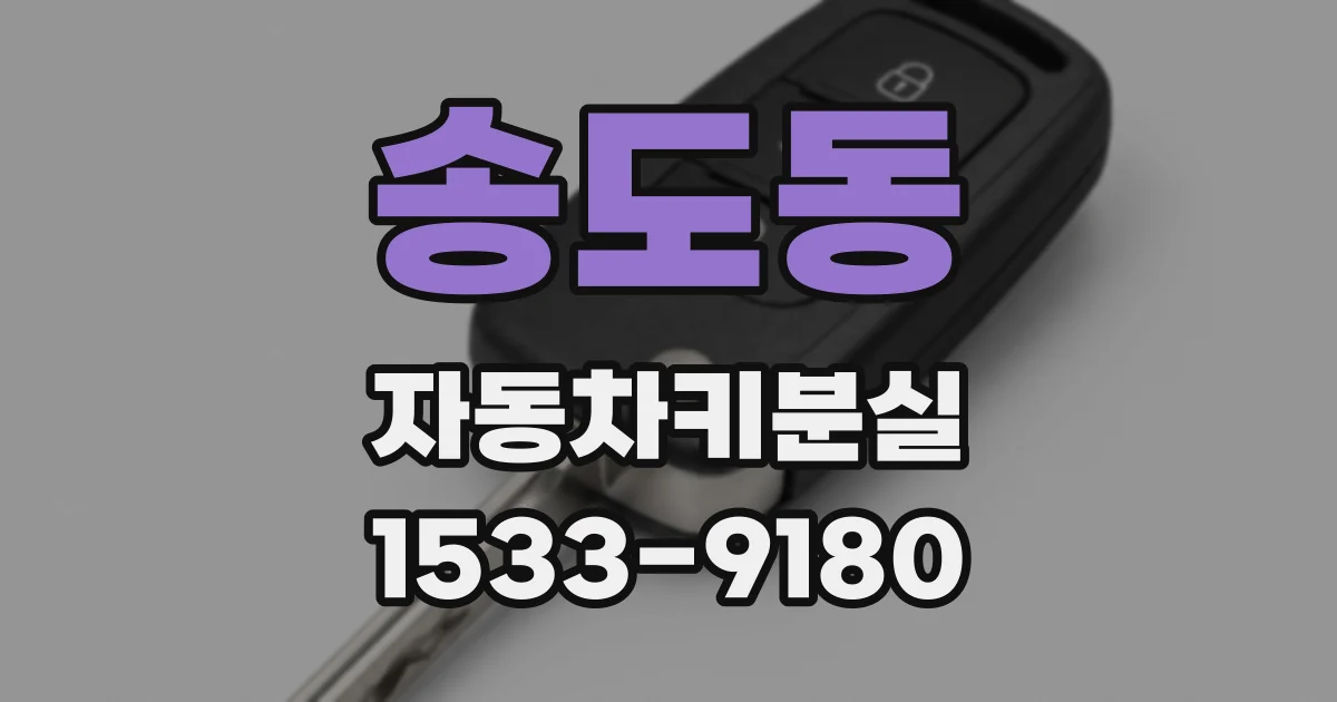 송도동 자동차키분실