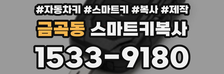 금곡동 스마트키복사