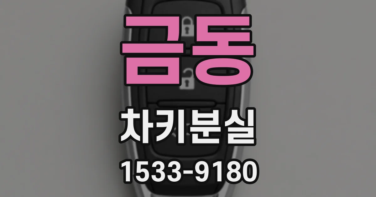 금동 차키분실