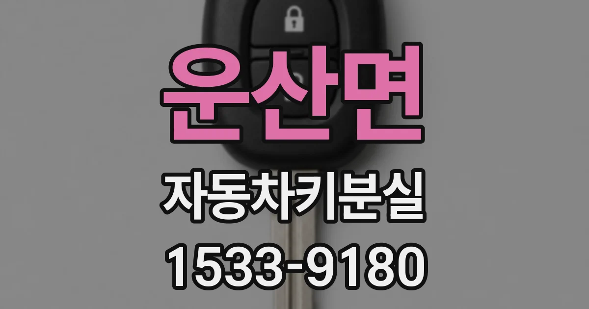 운산면 자동차키분실