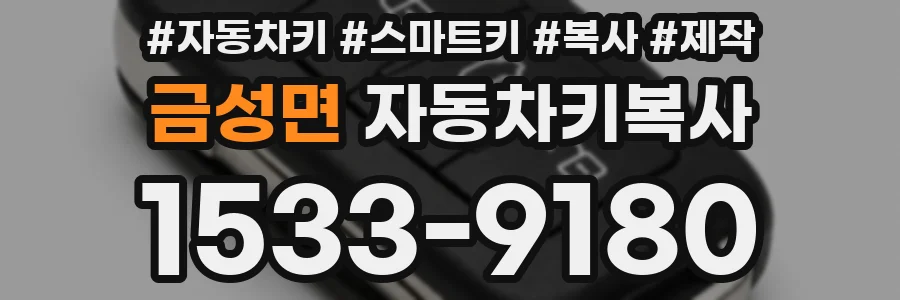 금성면 자동차키복사