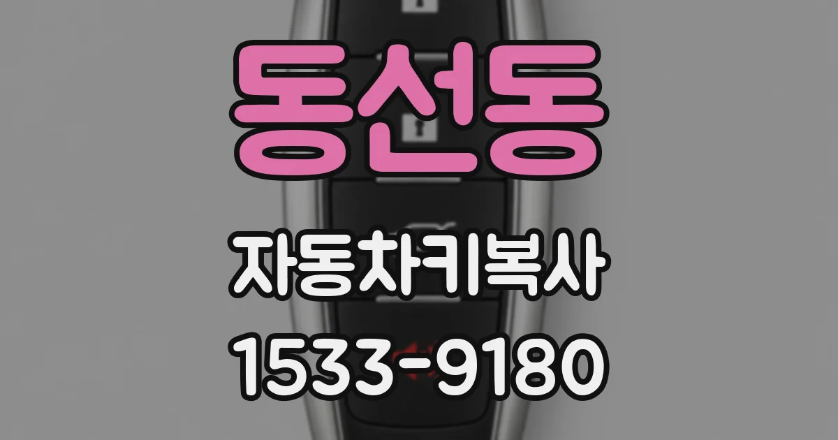 동선동 자동차키복사